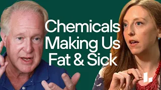 How ENVIRONMENTAL Chemicals Are Making Us SICK & Fat (Dr. Robert Lustig & Dr. Casey Means)