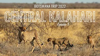 Cheetahs in the CENTRAL KALAHARI - Botswana Trip 2022 | Episode 3