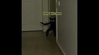 Demon Cat pt. 3