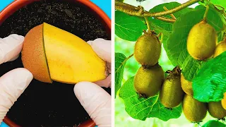 32 BRILLIANT HACKS TO GROW YOUR OWN SEEDS AND PLANTS || 5-Minute Garden Decor Ideas!
