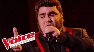 Francis Cabrel – La Corrida | Yoann Launay | The Voice France 2015 | Prime 2