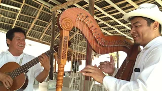 Talento veracruzano el caimán |TIENES QUE VERLO 🤣