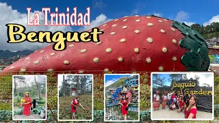 Baguio Botanical Garden Full tour | Strawberry Farm La Trinidad Benguet | Travel info & tips