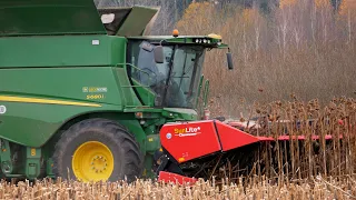 The first experience of sunflower harvesting / John Deere S680i + Geringhoff SunLite* / MAZ 5551 /