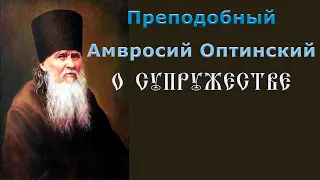 Преподобный Амвросий Оптинский о супружестве