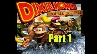 Donkey Kong Country 3: Dixie Kong's Double Trouble (Part 1 TUFST): Oh no...