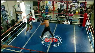 Sparring Night April 16-2024