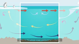 The role of the ocean in the climate system