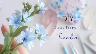 How to make clay tweedia flower cold porcelain | sugar flower cake | gum paste | fondant