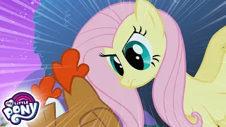 My Little Pony Deutsch 🦄 Babysitter Fluttershy | Freundschaft ist Magie | Ganze Folge | MLP