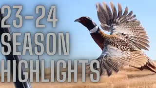 23 24 Hunting Season Highlights | Simple Hunts E61 #hunting #birdhunting #birddog