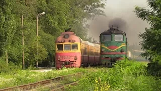 Две классики - дизель-поезд Д1 и тепловоз 2ТЭ10Л / Two classics - D1 DMU and 2TE10L
