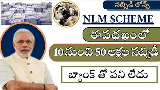 Nlm subsidy loans|| How to apply nlm subsidy loans||nlm loan eligibility@Antharnetra
