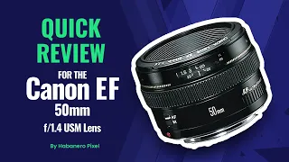 Canon EF 50mm f/1.4 USM Standard Lens Review - The Pros and Cons Unveiled!