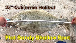 Halibut fishing Ep5. Lucky Craft Flash Minnow 110sp in Bolsa Chica State Beach 25 inches