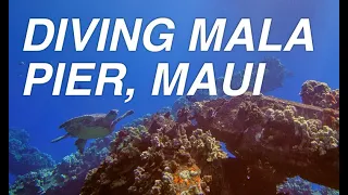 Scuba Diving Mala Pier, Maui - 4K Sony RX100V