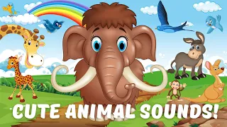 Cute Little Animals | Rabbit, Lion, Goat, Swan, Dog, Lynx... Animal Sounds | Wildlife Videos