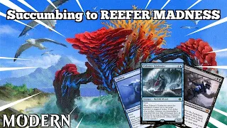 Succumbing to REEFER MADNESS | OTJ Satoru Sultai | Modern | MTGO