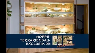 Doppelstöckiges Wüsten Terrarium als Schrankwand