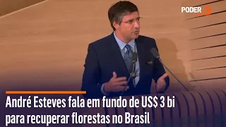 André Esteves fala em fundo de US$ 3 bi para recuperar florestas no Brasil