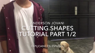 Tutorial Shuffle house/ CuttingShapes hablando español