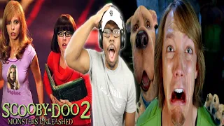 *Scooby Doo 2 Monsters Unleashed*... Is Problematic! Here's WHY! (Movie Commentary)