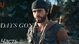 Days Gone[Жизнь После] Прохождение#7 О’Брайен