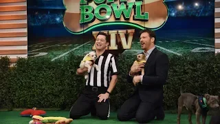 TUESDAY! "Puppy Bowl" Pups & Ref Dan Shachner AND "Bizarre Foods with Andrew Zimmern" Andrew Zimmern