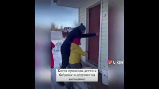 Привезли детей , бабушке и дедушке..