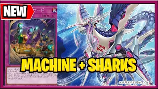 New YuGiOh Carsd 2024 Kaiba Dragon Cannon Support / Shark Cards