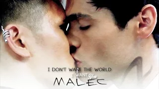 War Of Hearts || MALEC ||