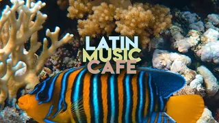Top 50 Latin ✪ - Bad Bunnyy, Kendo Kaponi, Arcangel - P FKN R | Latin Music Cafe ☕