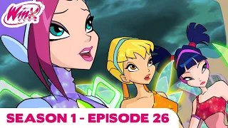 Winx Club - Season 1 Episode 26 - The Witches's Downfall - [FULL EPISODE]