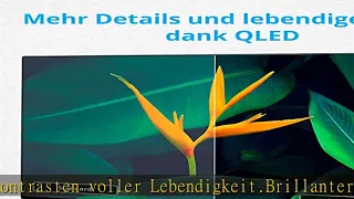 MEDION X15552 (MD 30607) 138,8 cm (55 Zoll) QLED Fernseher (UHD Smart-TV, 4K Ultra HD, Dolby Vision