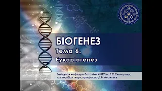 Курс «Біогенез». Лекція 6. Еукаріогенез