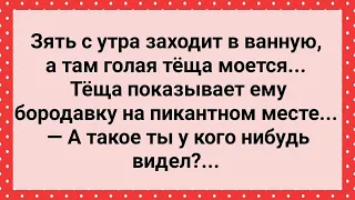 Теща в Ванной Показала Зятю! Сборник Свежих Анекдотов! Юмор!!!