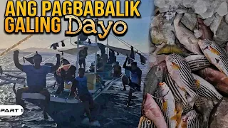 P1-Ang Pagbabalik sa Canipo galing Dayo - EP1336