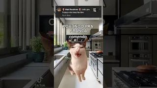 POV: INDO PRA FRANÇA #viral #cat #pfv #gatos #nflopa #gato #pfvr #memes #nflopaa #pets