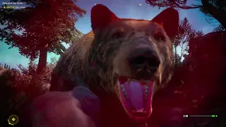 Epic Bugged Bears Fight Far Cry New Dawn