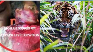 Man Eater Tiger Area | आदमखोर बाघ की दहशत | Eyewitness Dhikala Tiger Attack | Mohan Man Eater😭