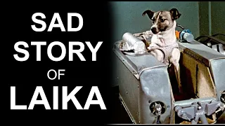 Sad Story of Laika | The space Dog | by physicsOgenius