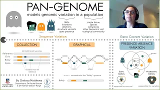 What is a pan-genome (in three minutes)?