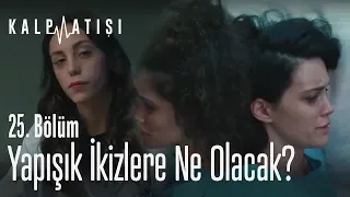 Yapışık ikizlere ne olacak? - Kalp Atışı 25. Bölüm