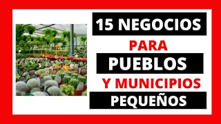 15 NEGOCIOS PARA COMENZAR EN  PUEBLOS O MUNICIPIOS PEQUEÑOS   PARTE 1