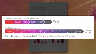 SuperScript IV CellsDirect cDNA Synthesis Kit