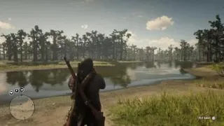 Red Dead Redemption 2 - BOAR VS ALLIGATOR