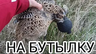 ФАЗАН НА БУТЫЛКУ. ЛОВУШКА НА ФАЗАНА БУТЫЛКА.ЛОВУШКА НА ПТИЦУ