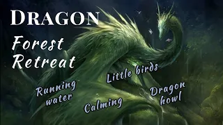 Dragon Forest Retreat | 1 hour Relax in a Dragon's Land | Soft Music | Fantasy, Howls, Wind 🌲
