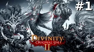 Divinity: Original Sin 2 Stream | December 10th, 2017