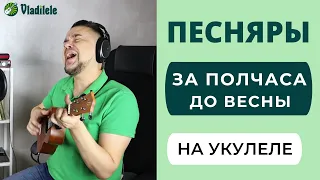 ПЕСНЯРЫ - ЗА ПОЛЧАСА ДО ВЕСНЫ укулеле кавер